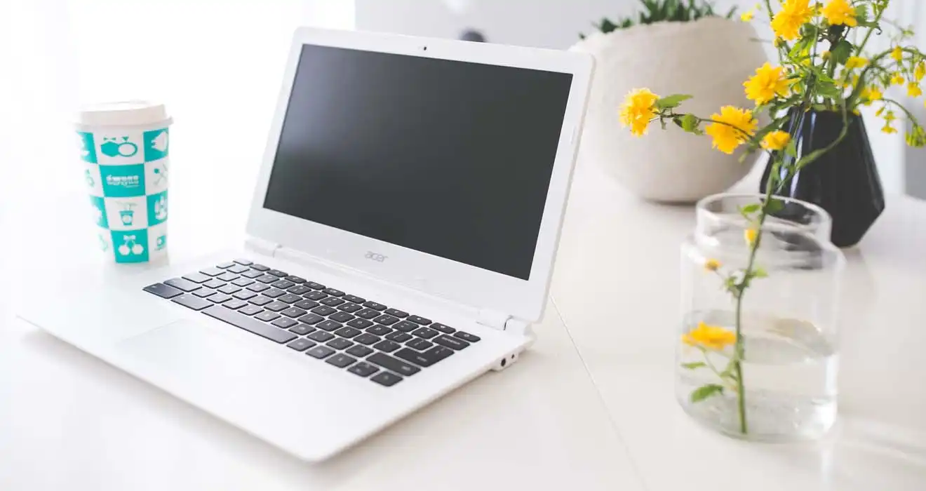 Ремонт ноутбуков Acer в Жигулёвске